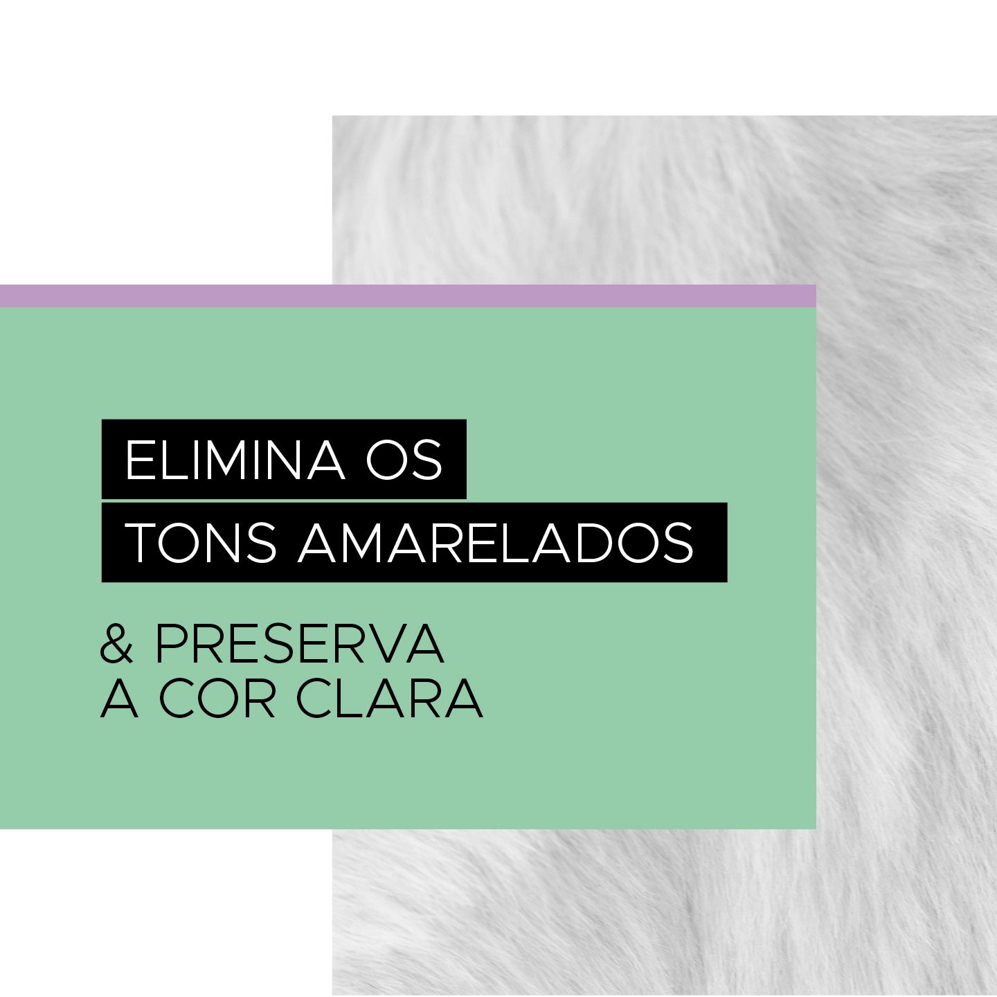 Dermo Shampoo Tonalizante Pelos Claros 5L