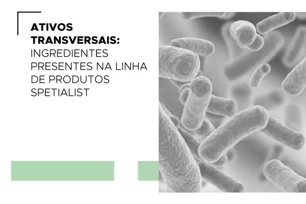 Ativos Transversais: Ingredientes Presentes na Linha de Produtos Spetialist