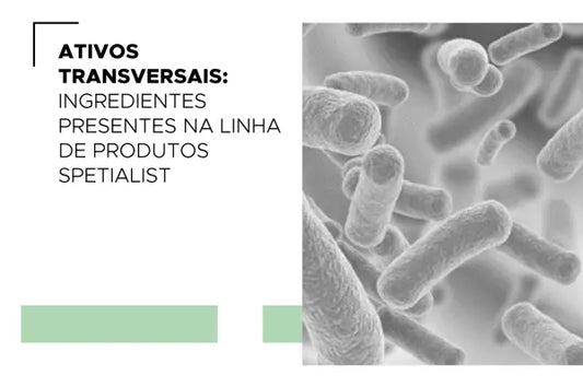 Ativos Transversais: Ingredientes Presentes na Linha de Produtos Spetialist