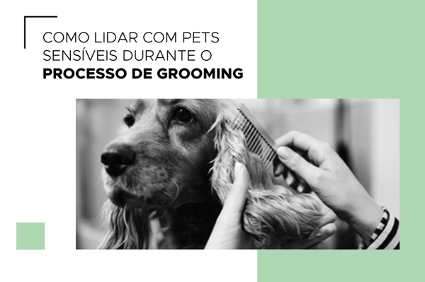 Como Lidar com Pets Sensíveis Durante o Processo de Grooming