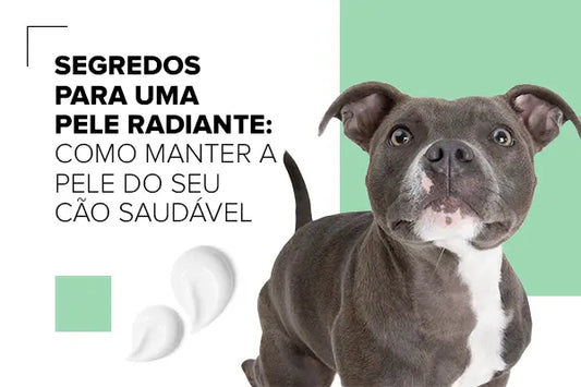 Segredos para uma Pele Radiante: Como Manter a Pele do Pet Saudável