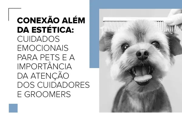 Conexão Além da Estética: Cuidados Emocionais para Pets e a Importância da Atenção dos Tutores e Groomers