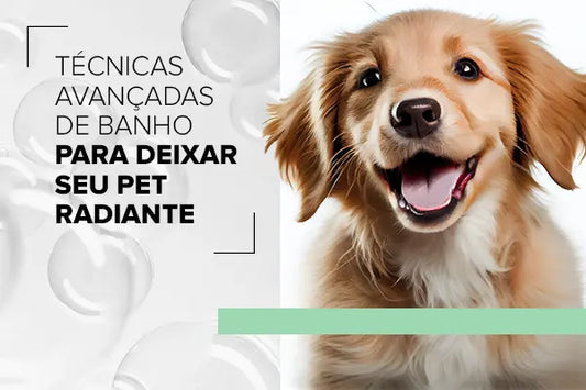 Técnicas Avançadas de Banho para Deixar o Pet Radiante
