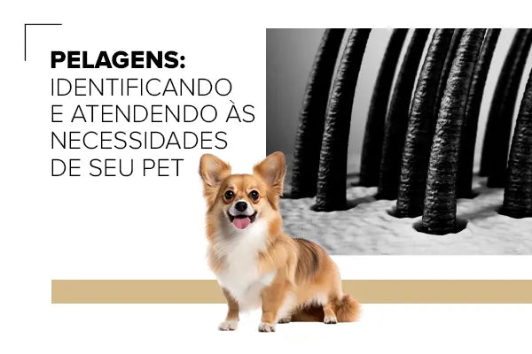 Pelagens: Identificando e Atendendo às Necessidades do Pet