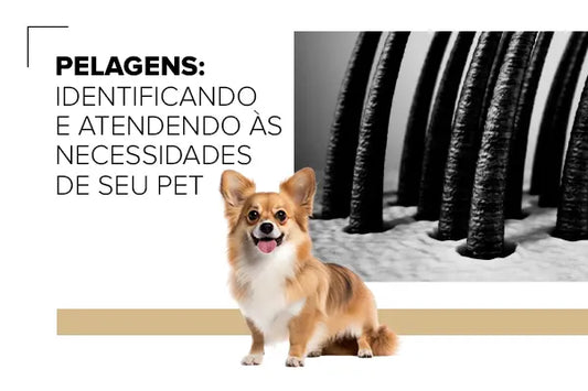 Pelagens: Identificando e Atendendo às Necessidades do Pet