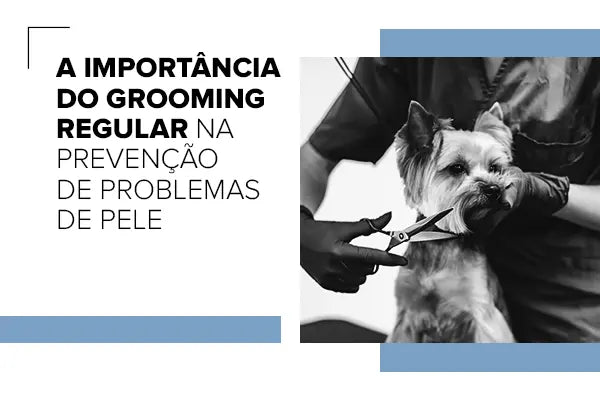 A Importância do Grooming Regular na Prevenção de Problemas de Pele