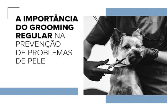 A Importância do Grooming Regular na Prevenção de Problemas de Pele