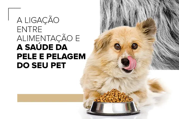 A Ligação entre Alimentação e a Saúde da Pele e Pelagem do Pet