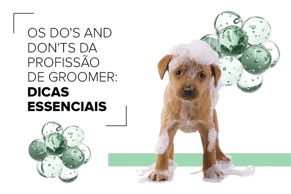 Os Do'sandDon'ts da Profissão de Groomer: Dicas Essenciais