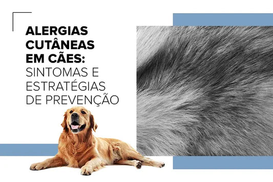 Alergias Cutâneas em Pets: Sintomas e Estratégias de Prevenção