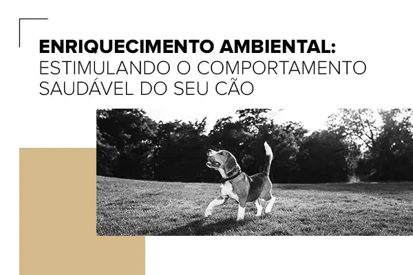 Enriquecimento Ambiental: Estimulando o Comportamento Saudável do Pet